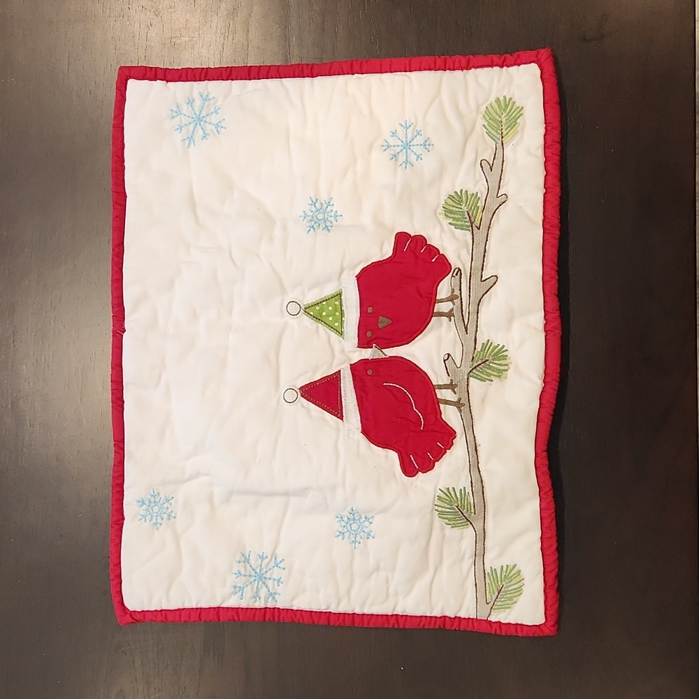 Pottery Barn Kids, Christmas Cardnials petite Sham, NWT